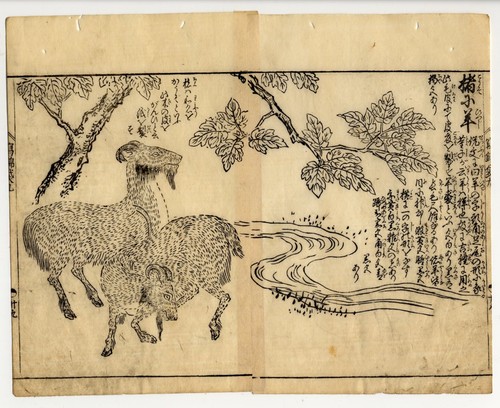 UW»Estampe japonaise