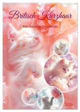 British shorthair (Calendrier