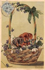 CPA.2 Small Chiens in a Basket Embossed Card (252408)
