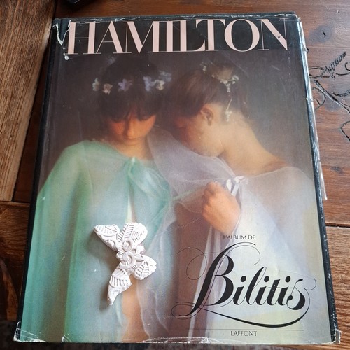 Livre photographies david - livre,