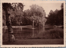 Norway, Oslo, Pond in a
