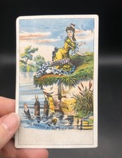 1880's M Markham Groceries