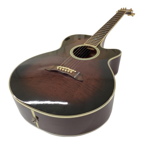 Guitare électrique acoustique
