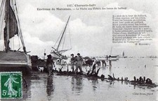 CPA 17 SURROUNDINGS DE MARENNES LA PECHE AUX VIVIERS DES BENCS DE JUILLARD (CPA ANIM