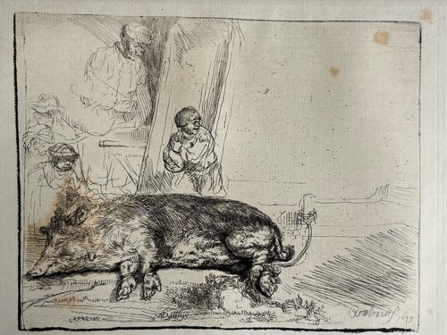 Rembrandt gravure cochon - le,