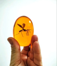 Jurassic Park Mosquito In Amber Resin Prop Replica Collectible Decoration Gift
