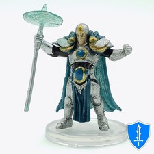 Human Paladin - Guildmasters