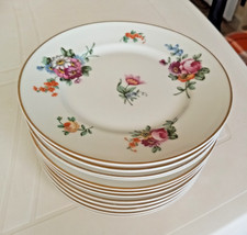 12 assiettes  en porcelaine