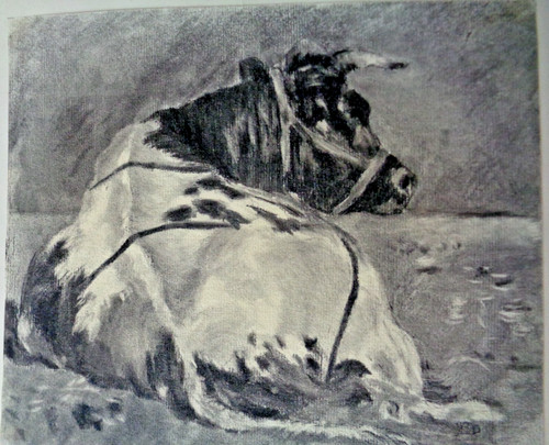 Lavis encre noire vache - encre,