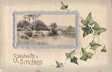 CP ILLUSTREE WAFFLE SINCERE WISHES SILVER FRAME COWS - IVY LEAVES