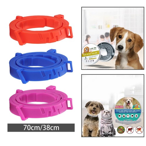 Réglable chien cou - réglable, sangle