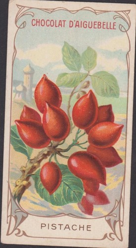 Chromo ancien chocolat - chromo,