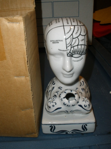 Phrenology head bust - phrenology,