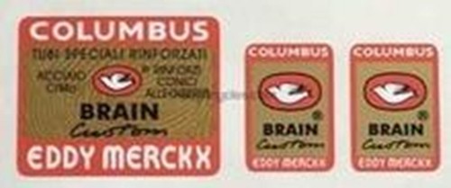 Columbus brain custom - brain, eddy