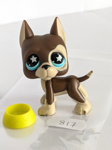 Petshop chien dog - petshop,