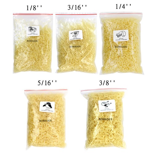 5000 pcs dental orthodontic - pcs,