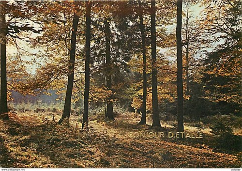 Carte postale belgique - postale,
