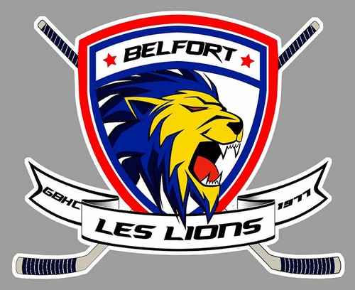 Sticker hockey sur glace ligue - sticker,
