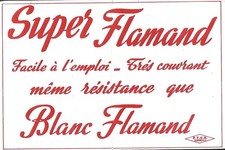 Blotter Flemish White Painting Ch. Bygodt in Saint-André