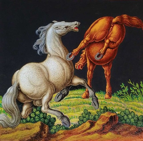 Chevaux battant aquarelle - battant.,