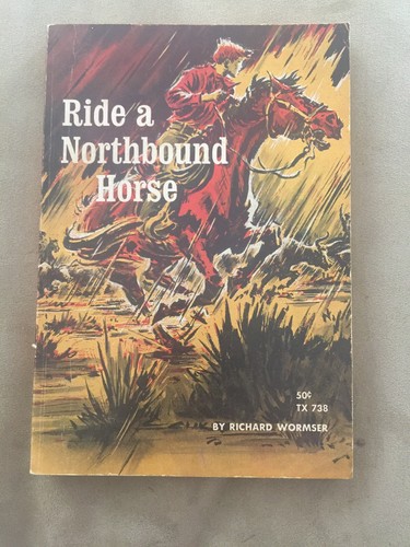 Ride northbound horse 738 - a,