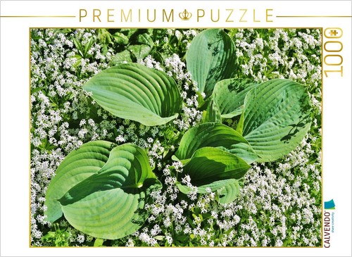 Calvendo puzzle hosta big - calvendo,