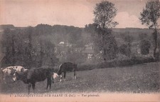 76* ANGLESQUEVILLE S/SAANE general view - cattle RL56,1017