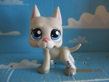 PETSHOP ARGENTINE DOG DOG N°1688