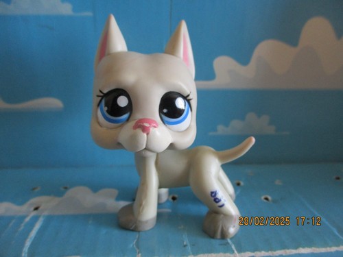 Petshop chien dogue argentin - petshop,