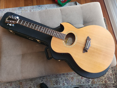2006 washburn ea52swce - washburn,