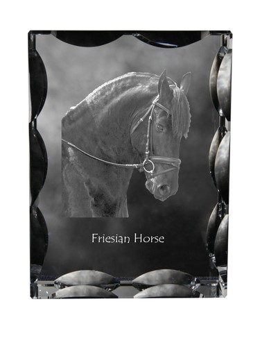 Cheval frison cadre - , en