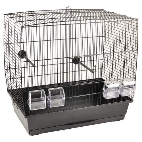 Cage perroquet flamingo - cage, À