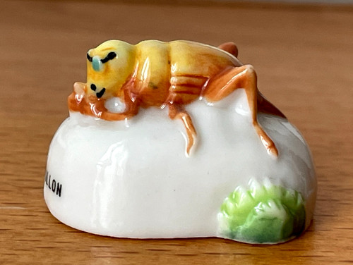 Adorable fève insecte - insecte, le