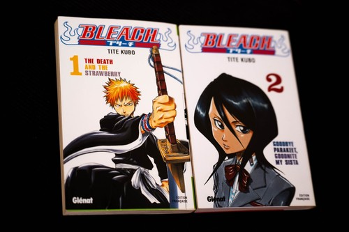 Manga bleach tome 2 - bleach,