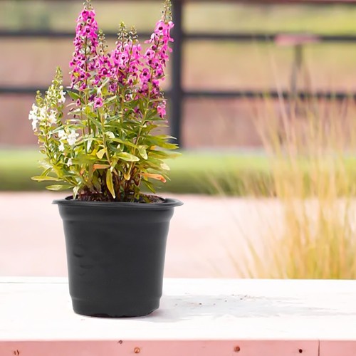 Gardening essentials 100 - gardening,