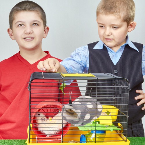 Accessoires cage furet nid - ,