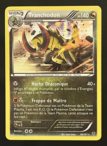 Tranchodon 69 101 - 🇫🇷,