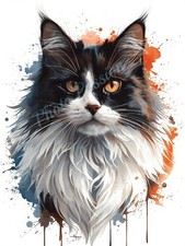 Photo A4 Chat Persan Noir