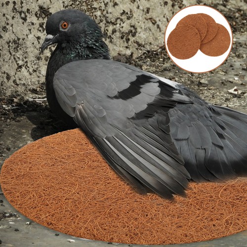 Pcs nid de pigeon - 4,