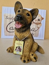 Collection  CASTAGNA  "CHIOT