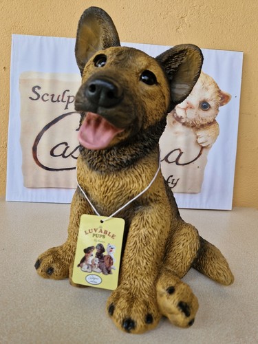 Collection castagna chiot - ,