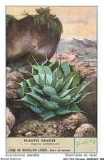 AXYP18-1396-CHROMOS -