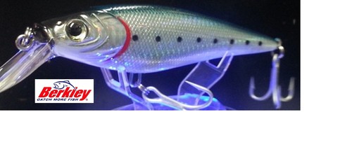 Poisson nageur berkley - nageur, frenzy