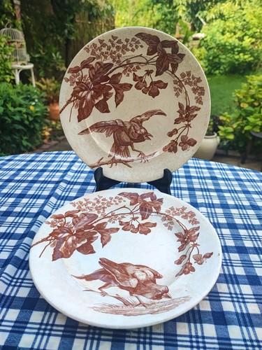 Assiettes anciennes faience - assiettes,