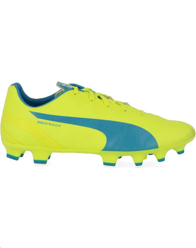 Puma chaussure evospeed - puma,