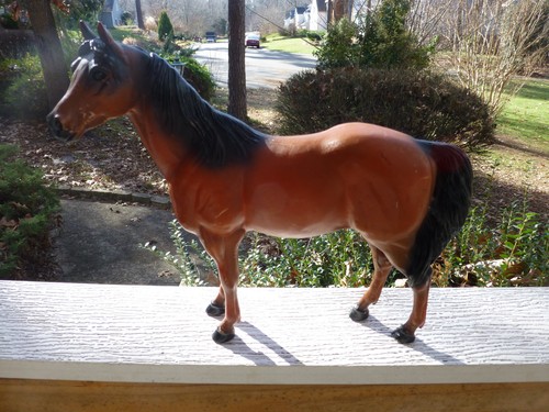 Blue ribbon ranch collectable - blue,