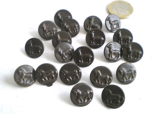 Anciens boutons chasse - anciens,
