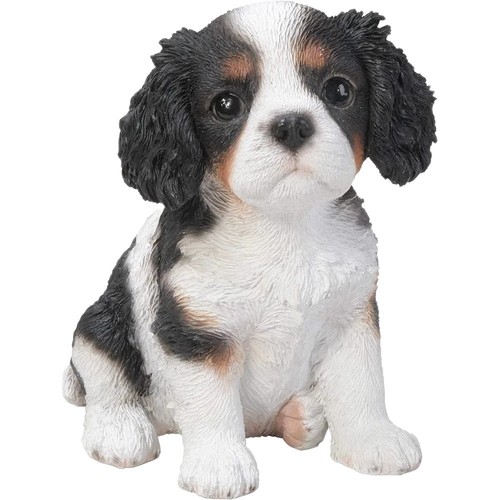 Vivid arts cavalier - vivid,