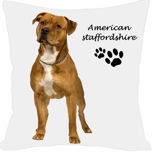 Coussin chien american staff - coussin,