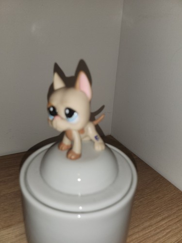 Authentic lps littlest - authentic, petshop